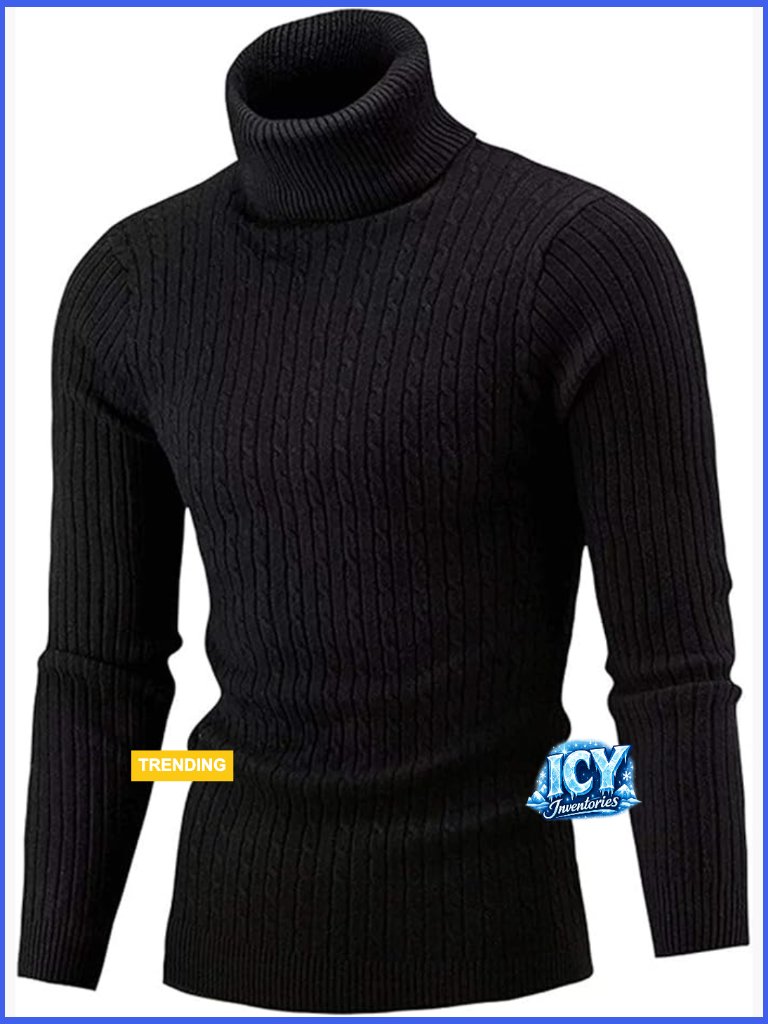 Men's Slim Fit Turtleneck Pullover Sweater With Twist Pattern